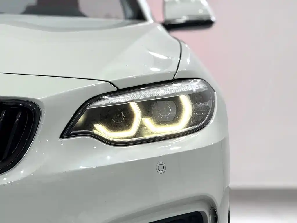 BMW 2 Series (Import) — фото 7