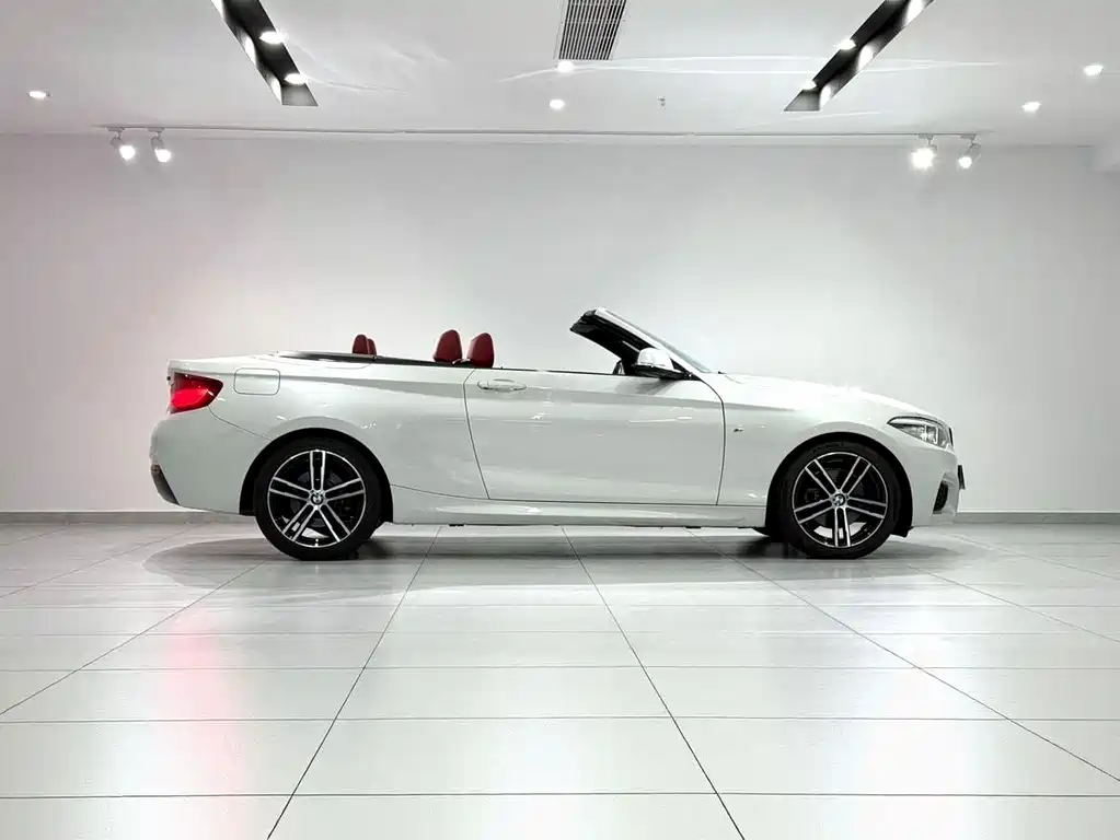 BMW 2 Series (Import) — фото 9
