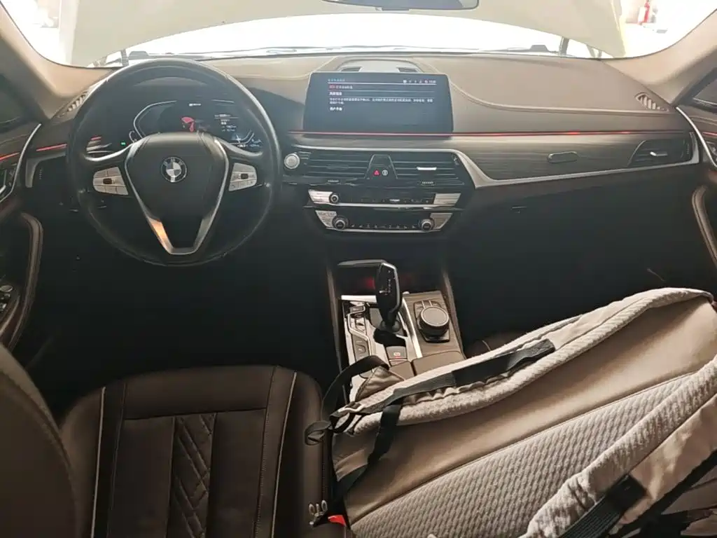 BMW 5 Series New Energy — фото 10