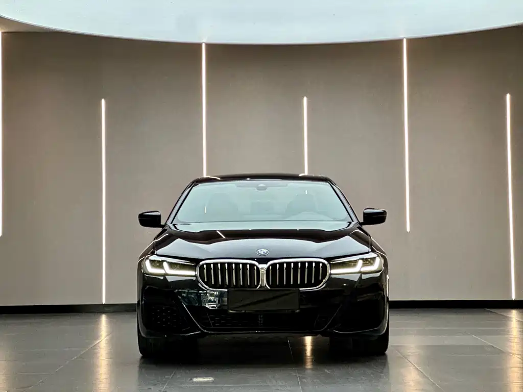 BMW 5 Series New Energy — фото 2