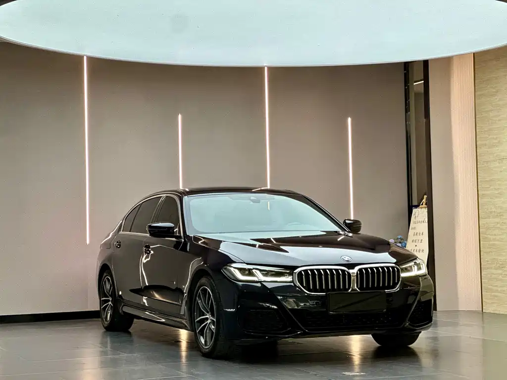 BMW 5 Series New Energy — фото 3