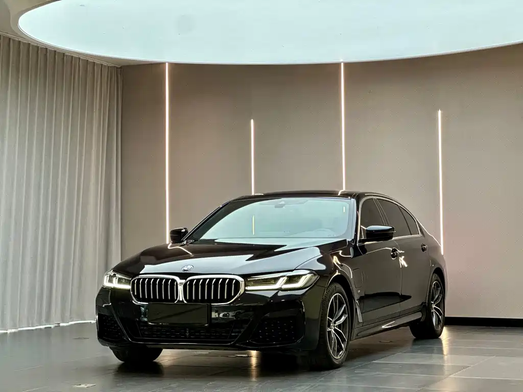 BMW 5 Series New Energy