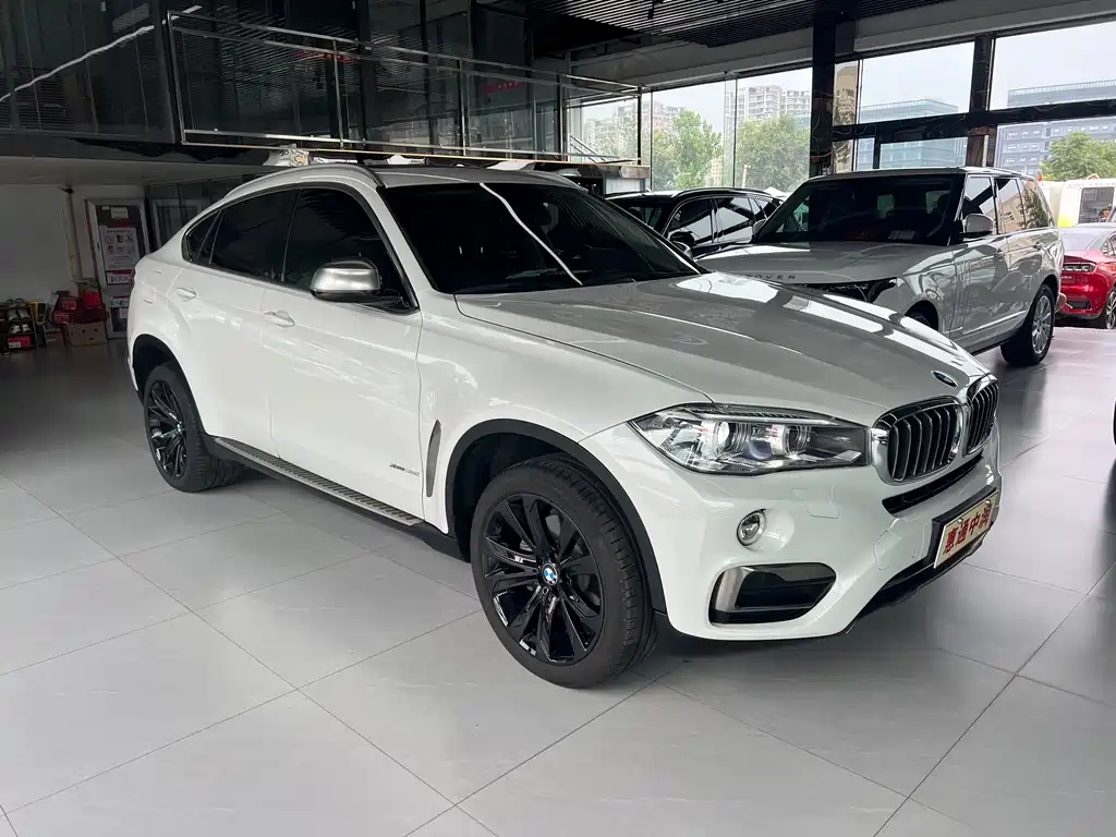 BMW X6 — фото 3