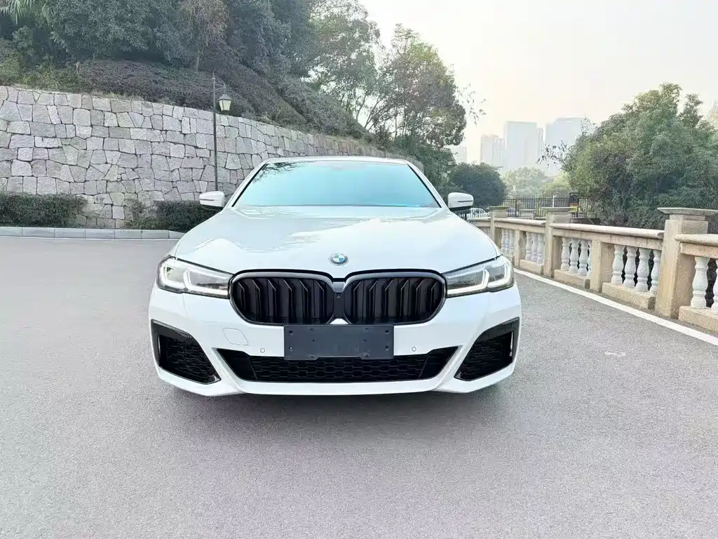 BMW 5 Series (Import) — фото 2