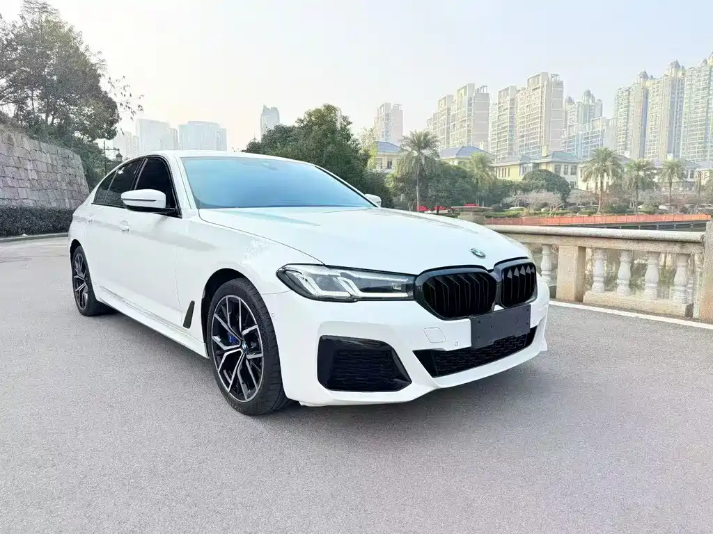 BMW 5 Series (Import) — фото 3