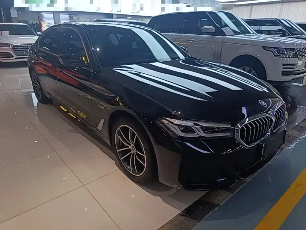 BMW 5 Series New Energy — фото 4