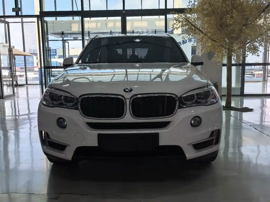 BMW X5 (Import) — фото 2