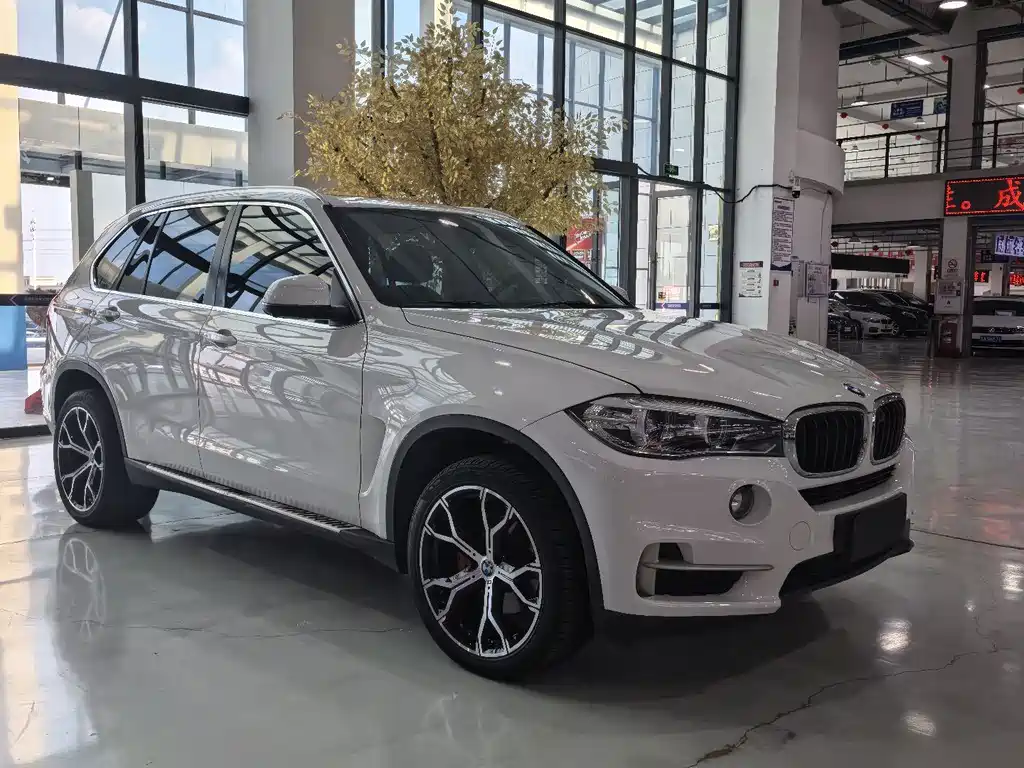 BMW X5 (Import) — фото 3
