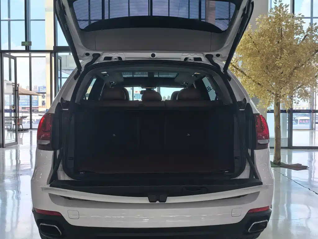 BMW X5 (Import) — фото 23