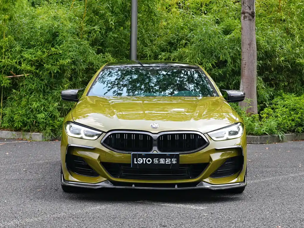 BMW 8 Series — фото 3