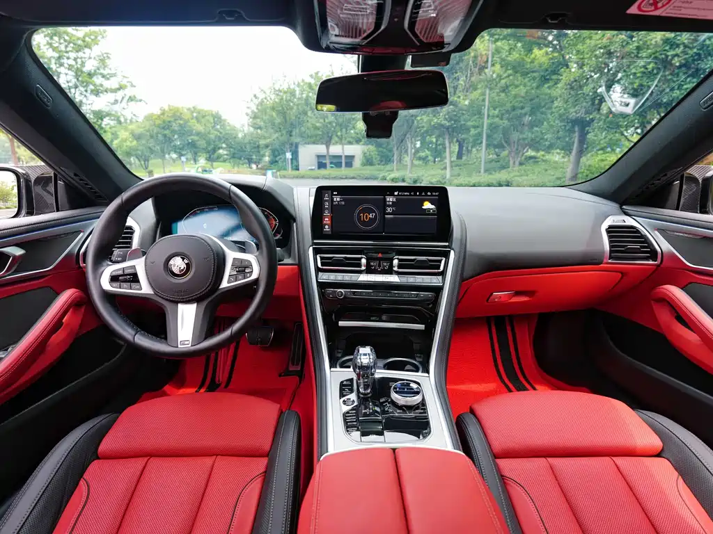 BMW 8 Series — фото 10
