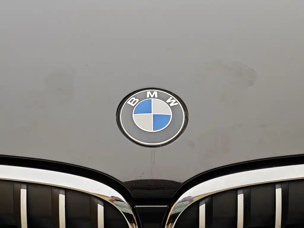 BMW X1 — фото 3
