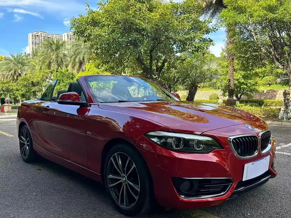 BMW 2 Series (Import) — фото 3