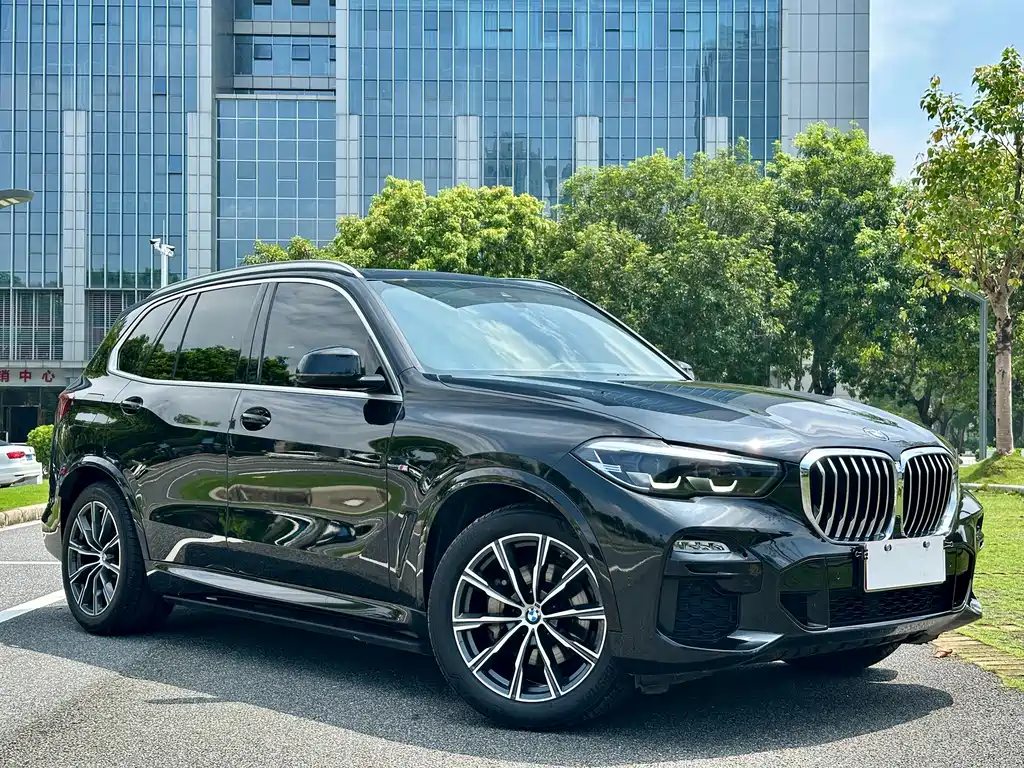 BMW X5 (Import) — фото 3