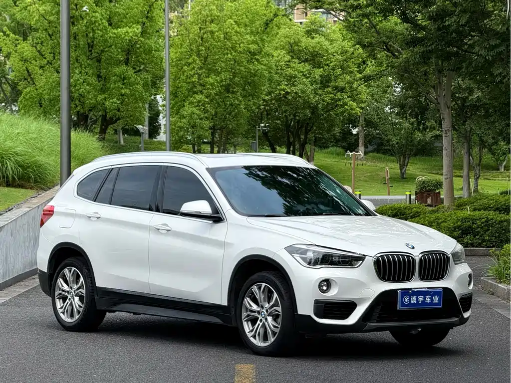 BMW X1 — фото 3
