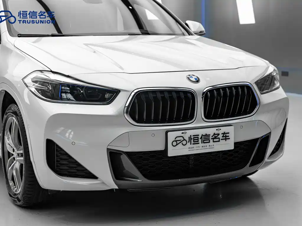 BMW X2 — фото 8
