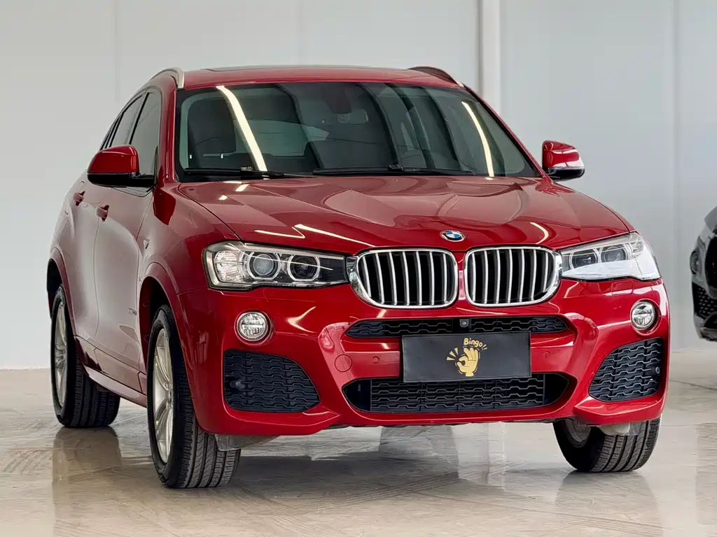 BMW X4 — фото 8