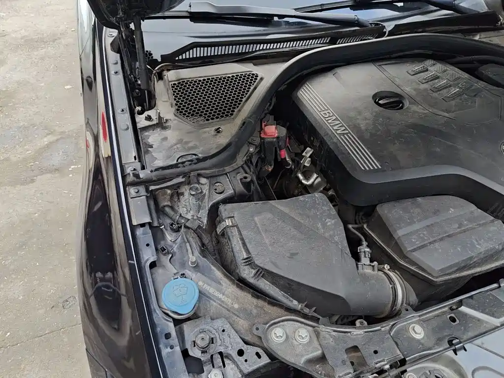 BMW 3 Series — фото 19