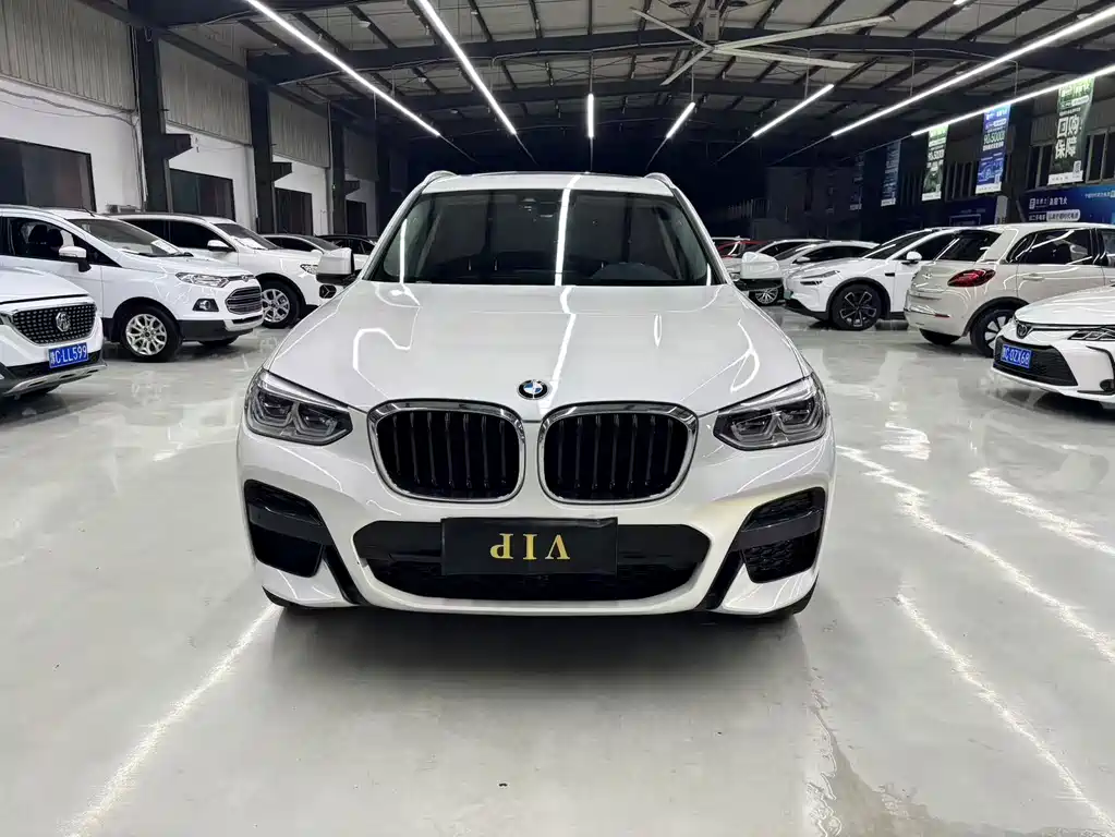 BMW X3 — фото 2