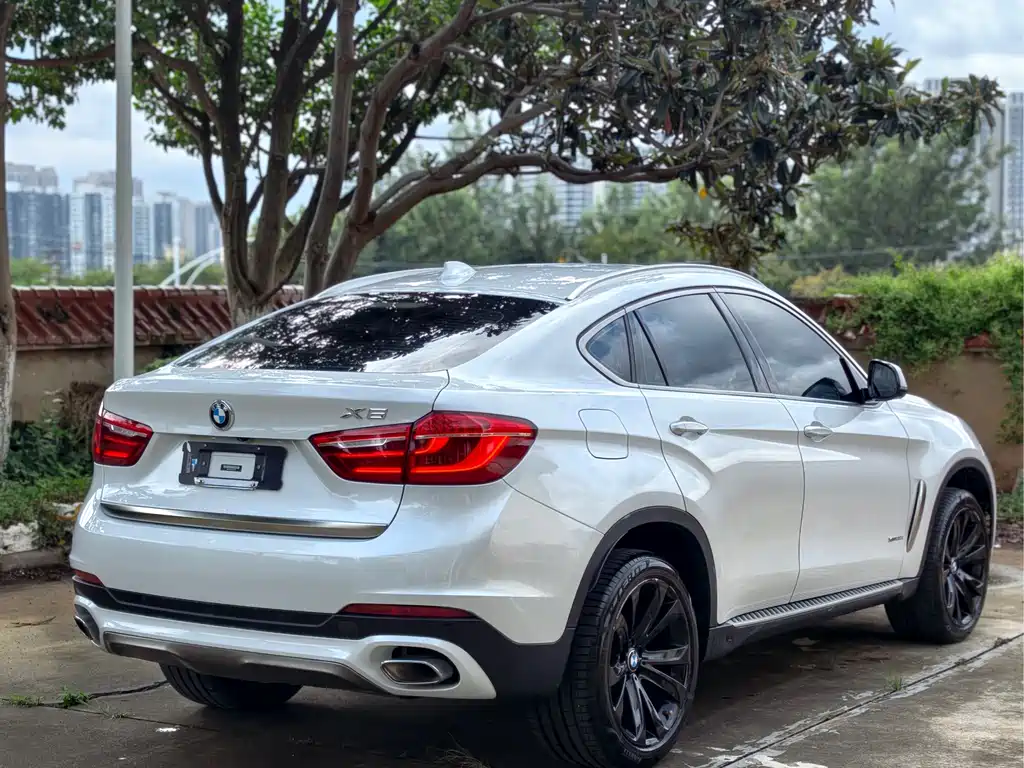 BMW X6 — фото 7