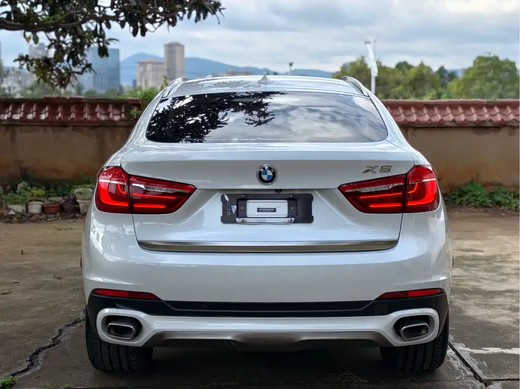 BMW X6 — фото 8