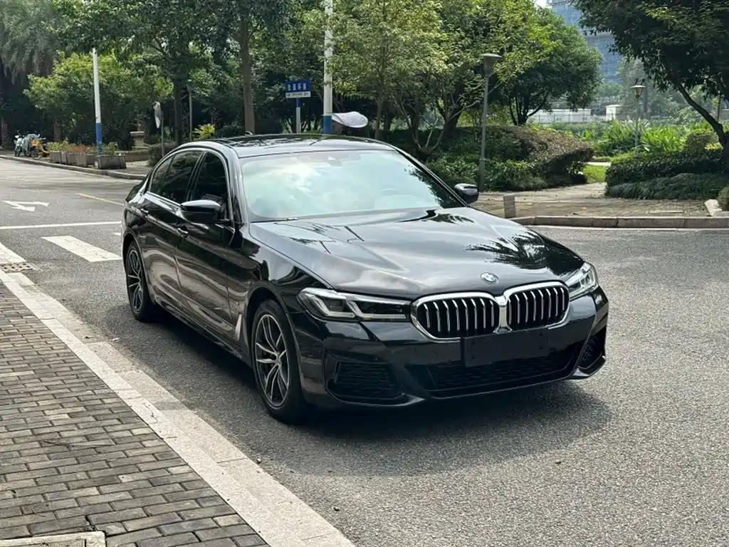 BMW 5 Series New Energy — фото 8