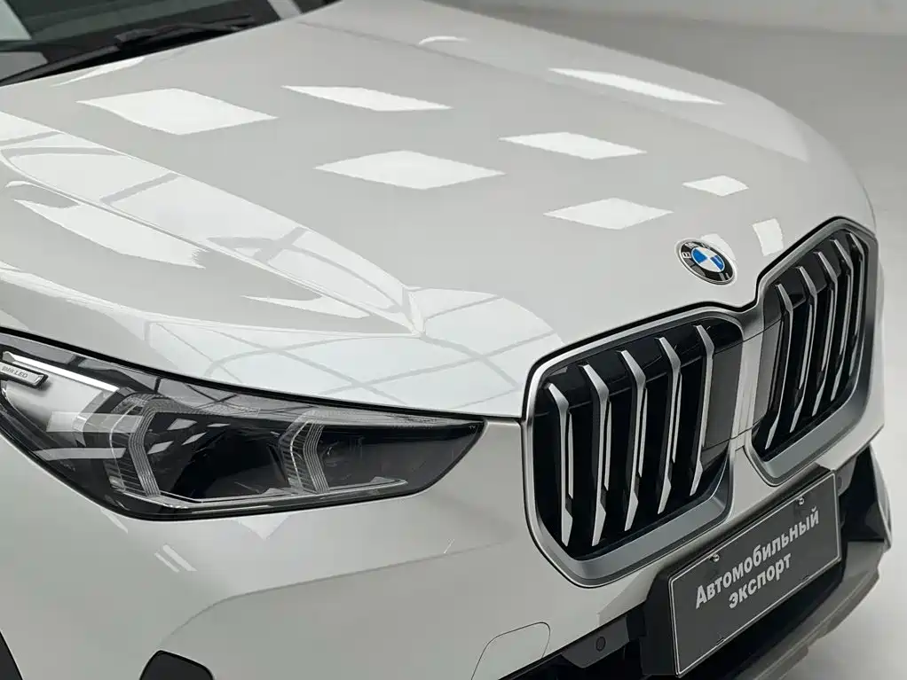 BMW X1 — фото 10