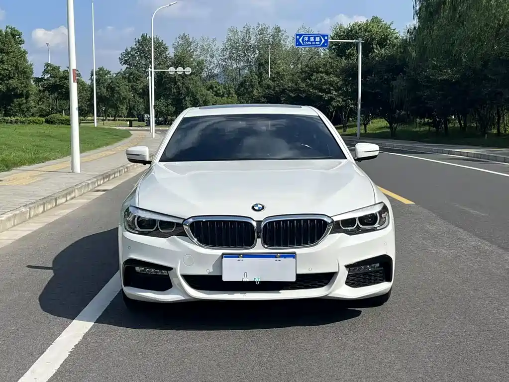 BMW 5 Series (Import) — фото 3