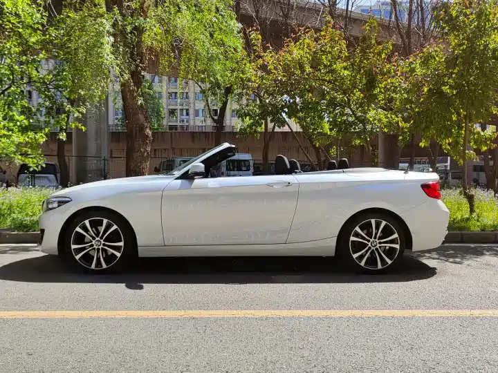 BMW 2 Series (Import) — фото 3
