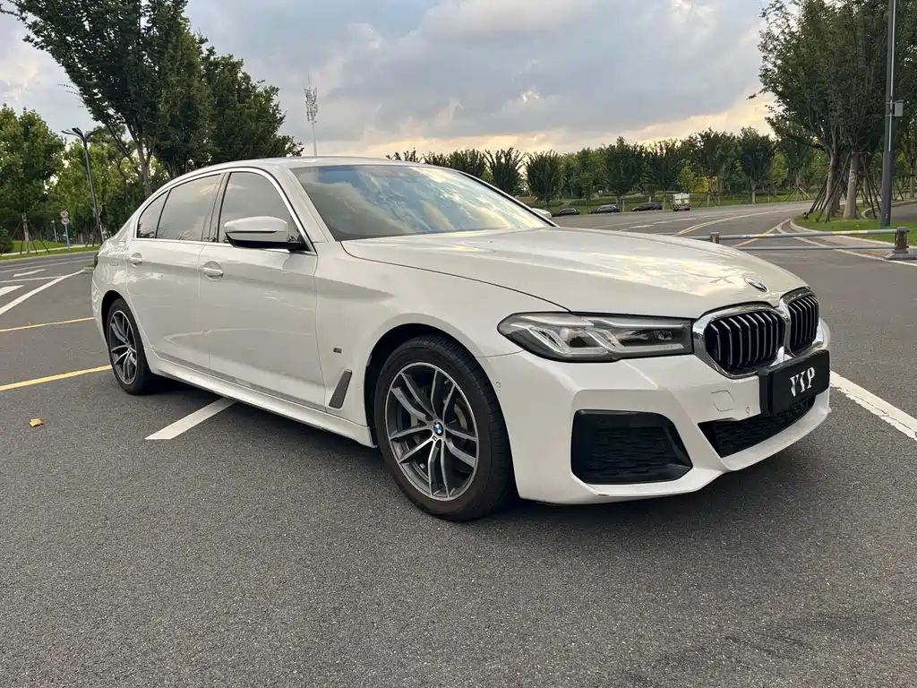 BMW 5 Series New Energy — фото 3