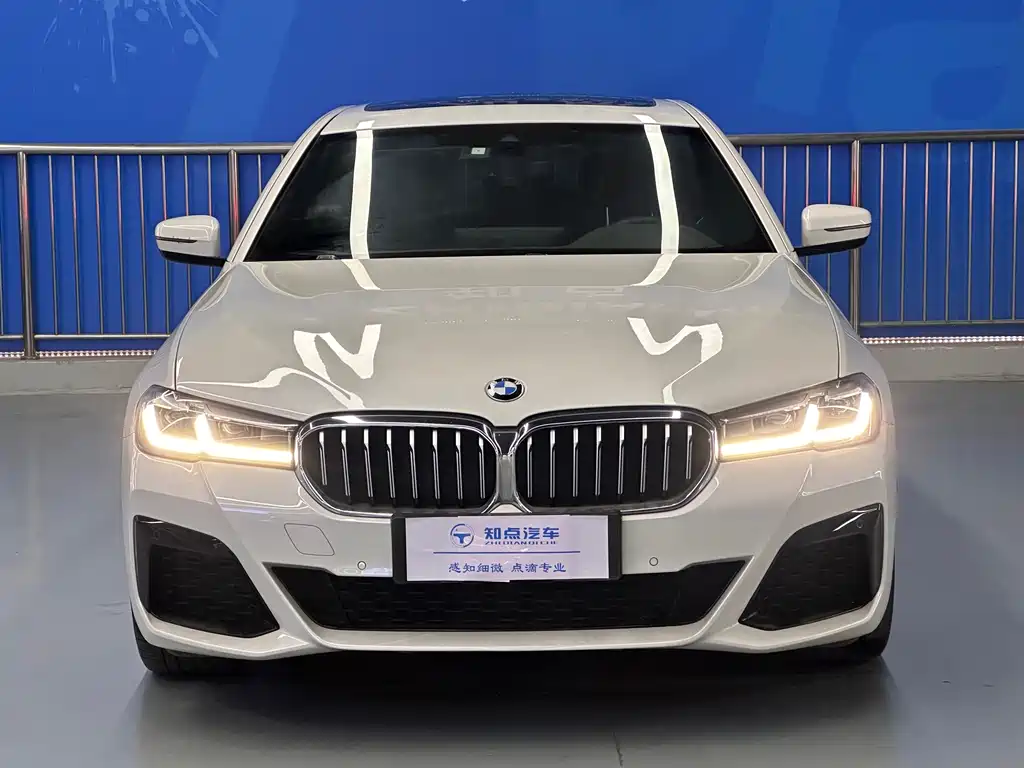 BMW 5 Series New Energy — фото 3