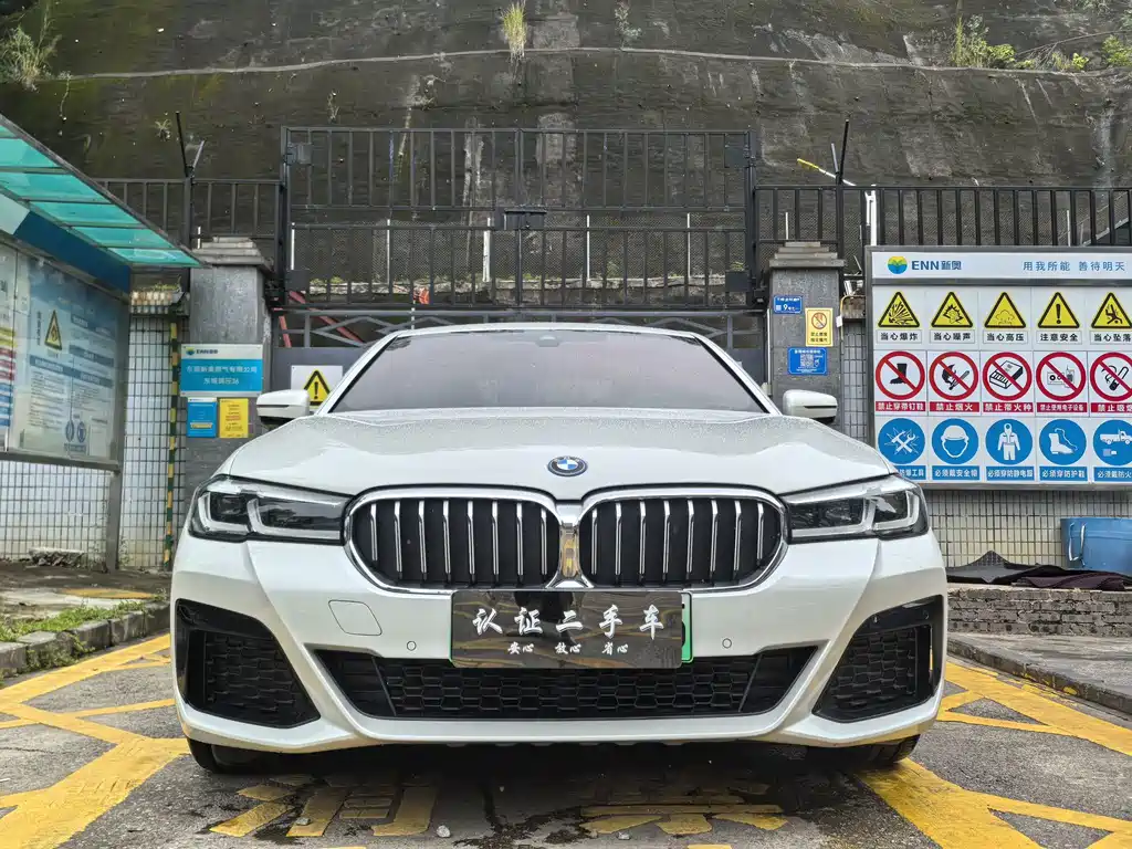 BMW 5 Series New Energy — фото 6