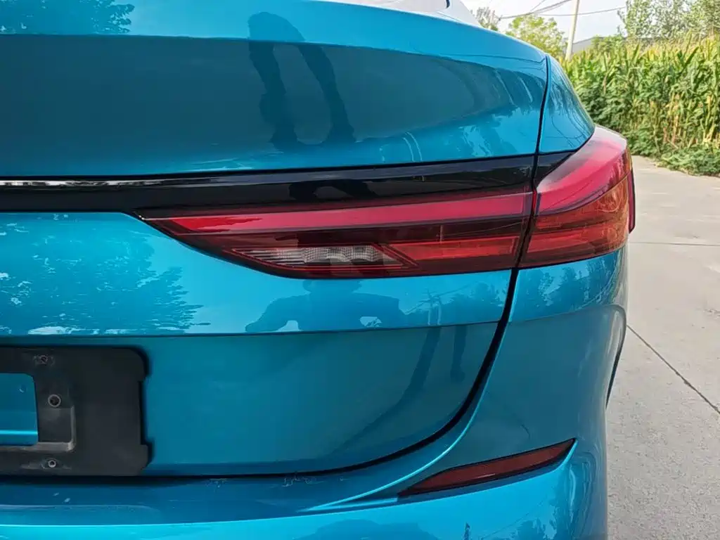 BMW 2 Series (Import) — фото 8