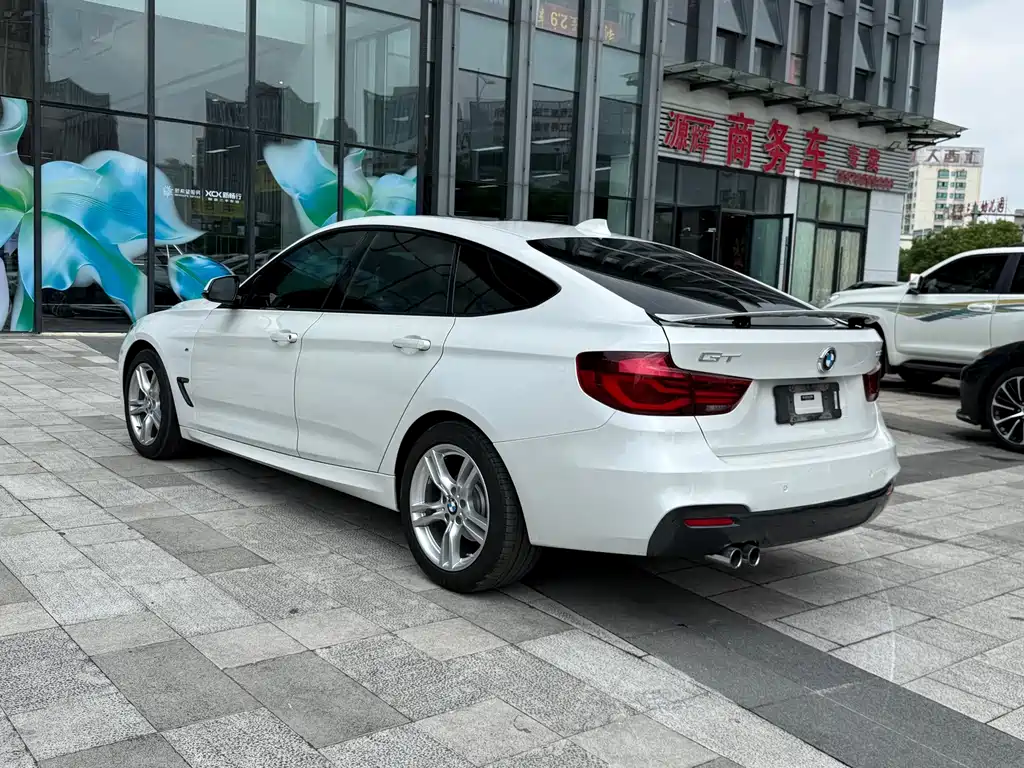 BMW 3 Series GT — фото 6