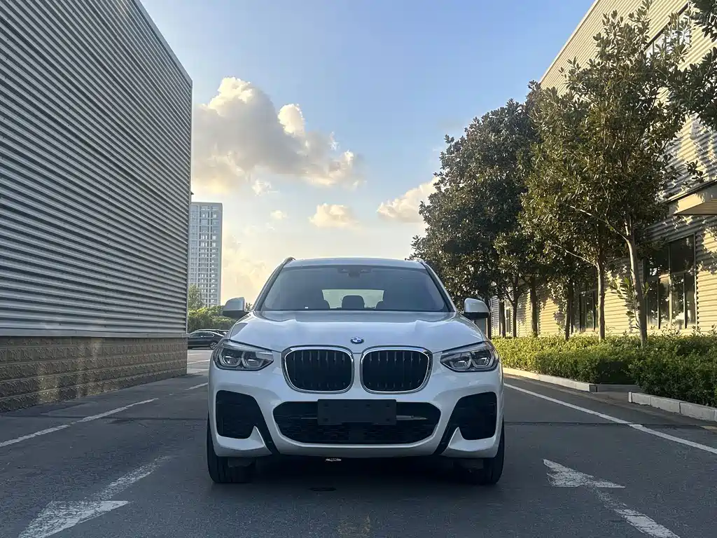 BMW X3 — фото 6