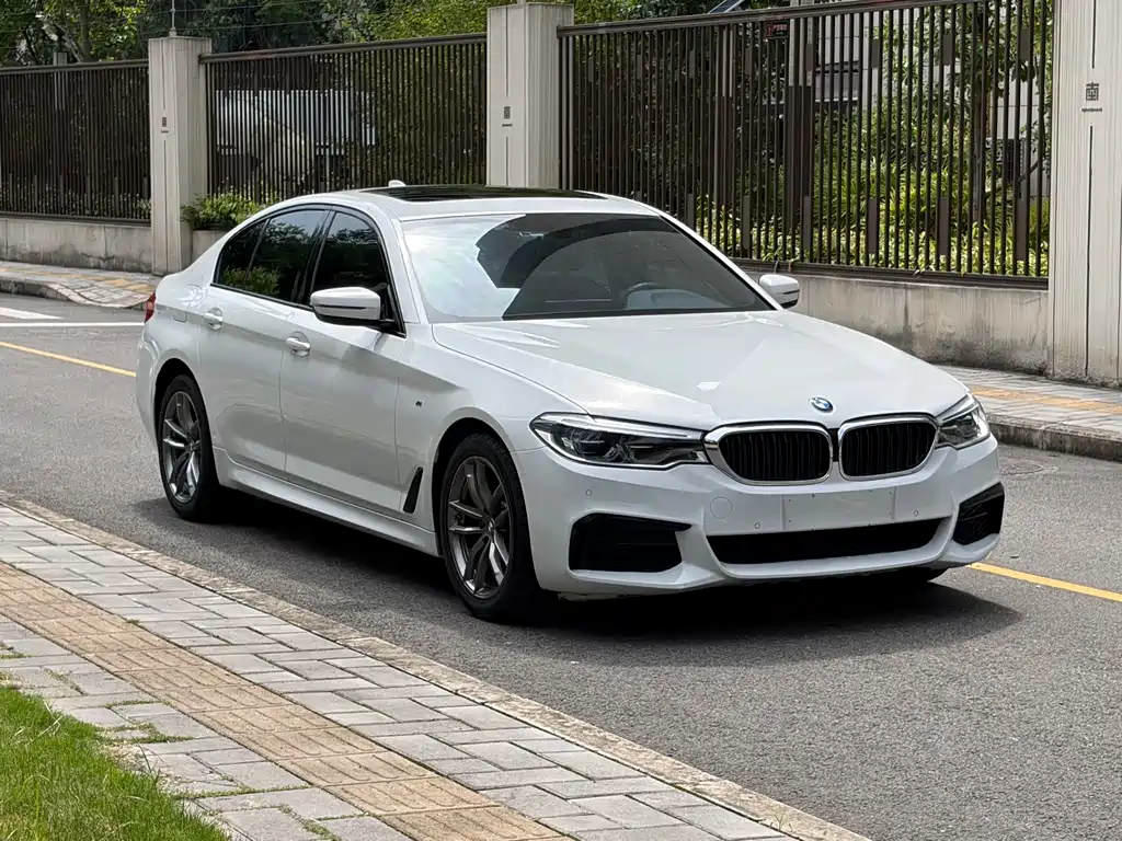BMW 5 Series (Import) — фото 5