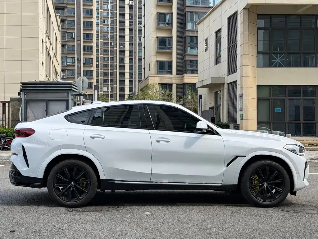 BMW X6 — фото 20