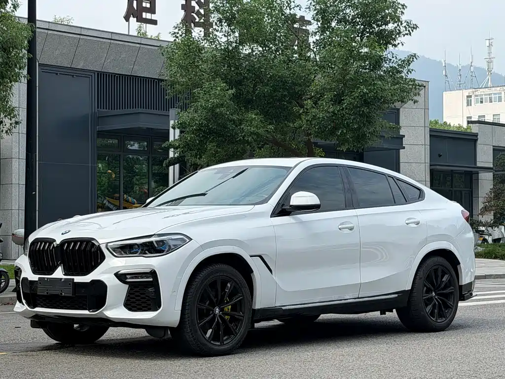 BMW X6 — фото 3