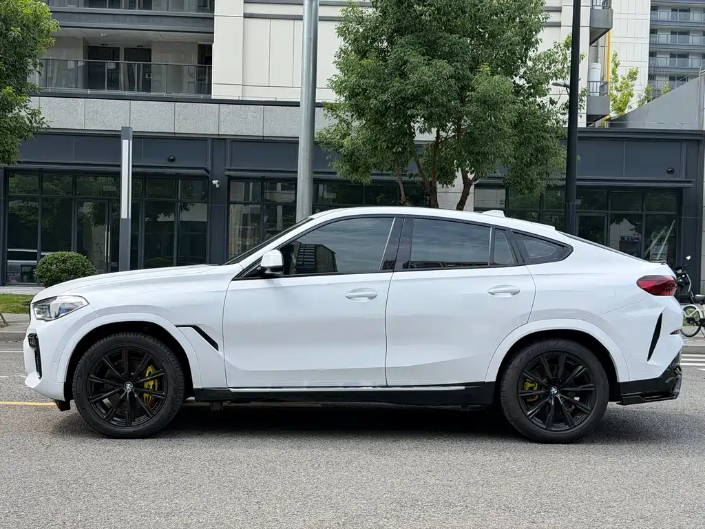 BMW X6 — фото 4