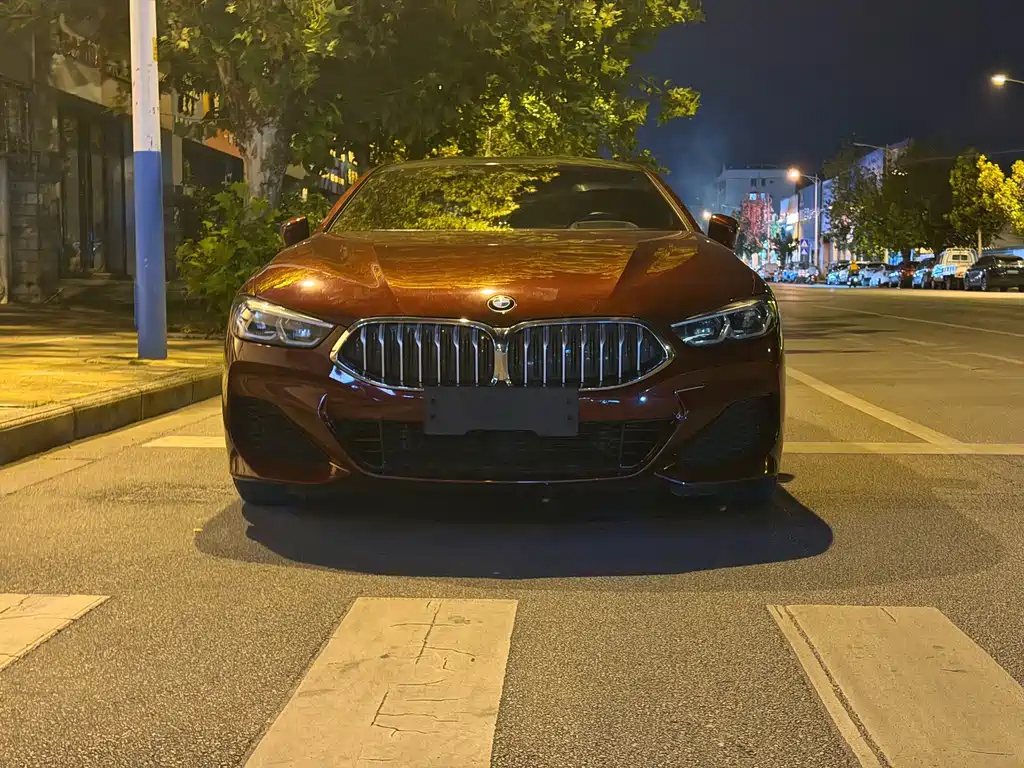 BMW 8 Series — фото 2