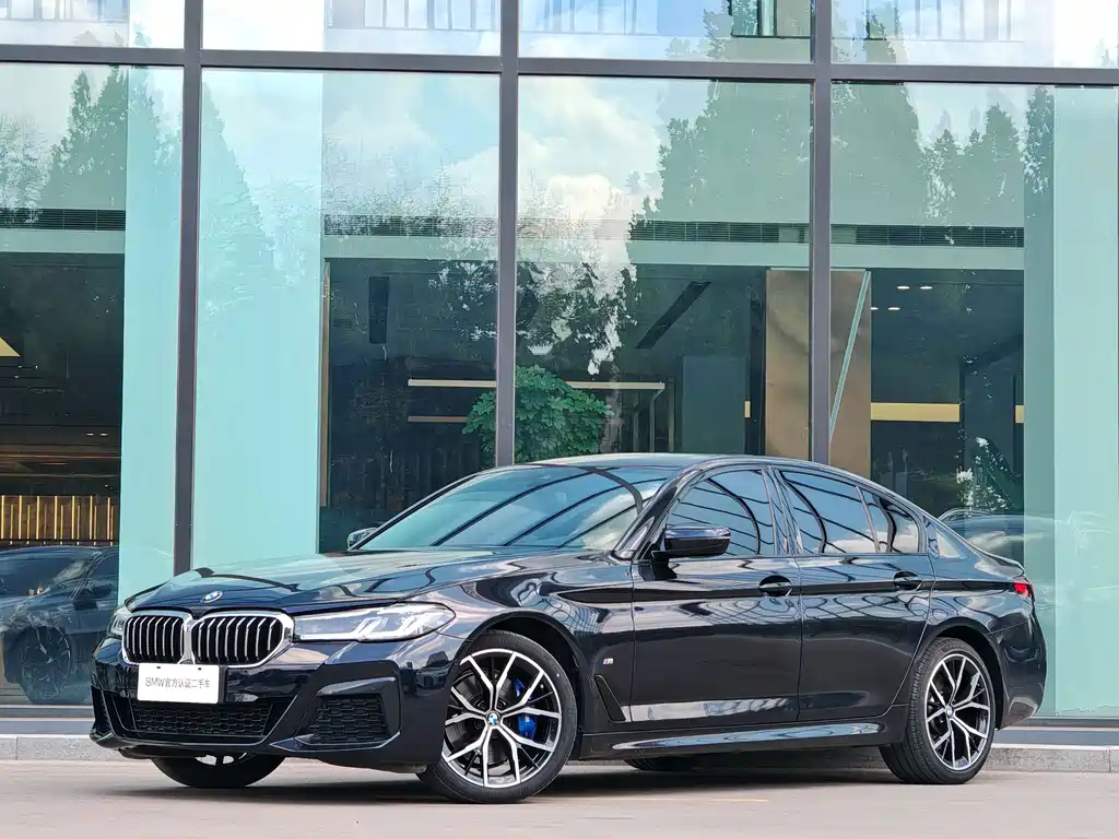 BMW 5 Series (Import) — фото 2