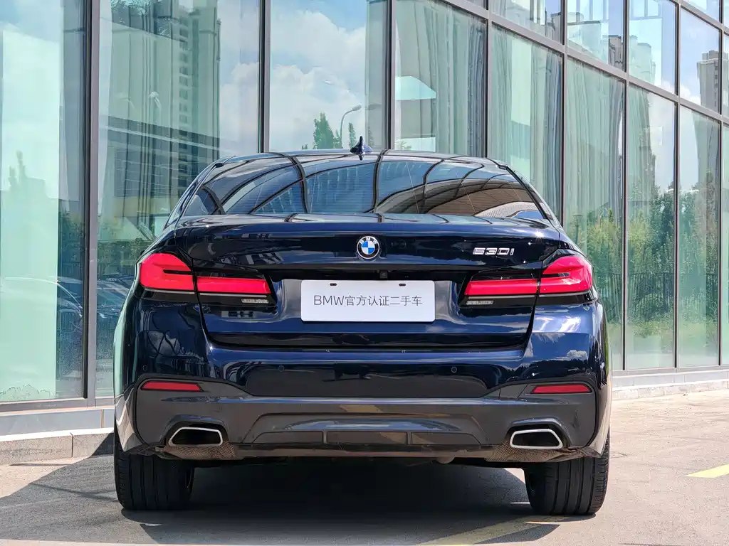 BMW 5 Series (Import) — фото 6