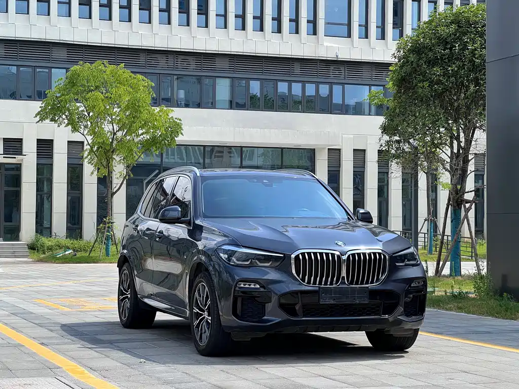 BMW X5 (Import) — фото 3