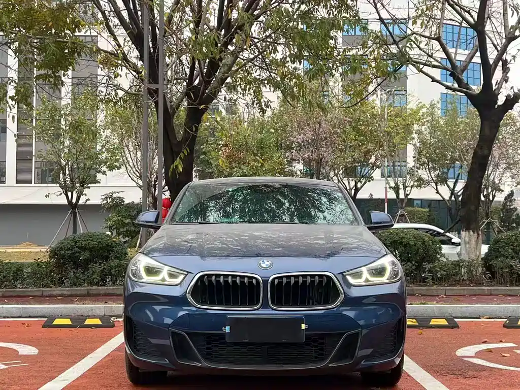 BMW X2 — фото 2