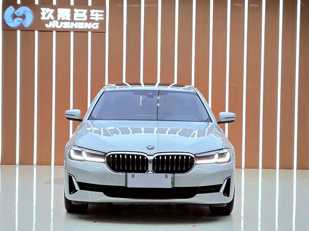 BMW 5 Series New Energy — фото 2