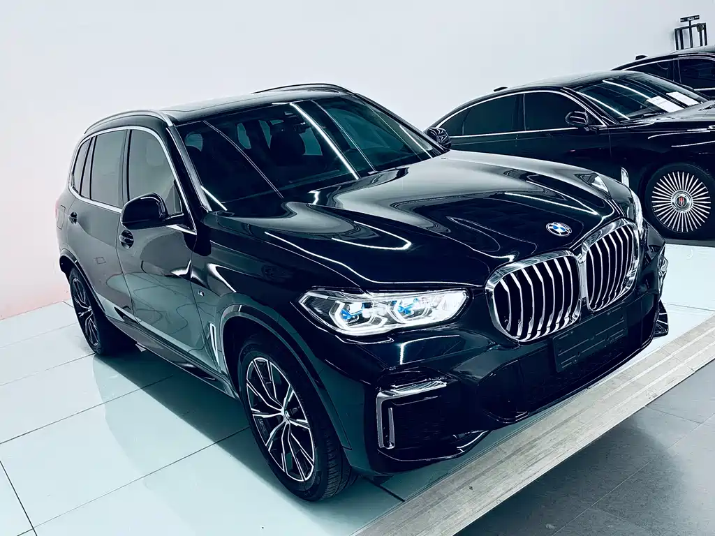 BMW X5 — фото 8