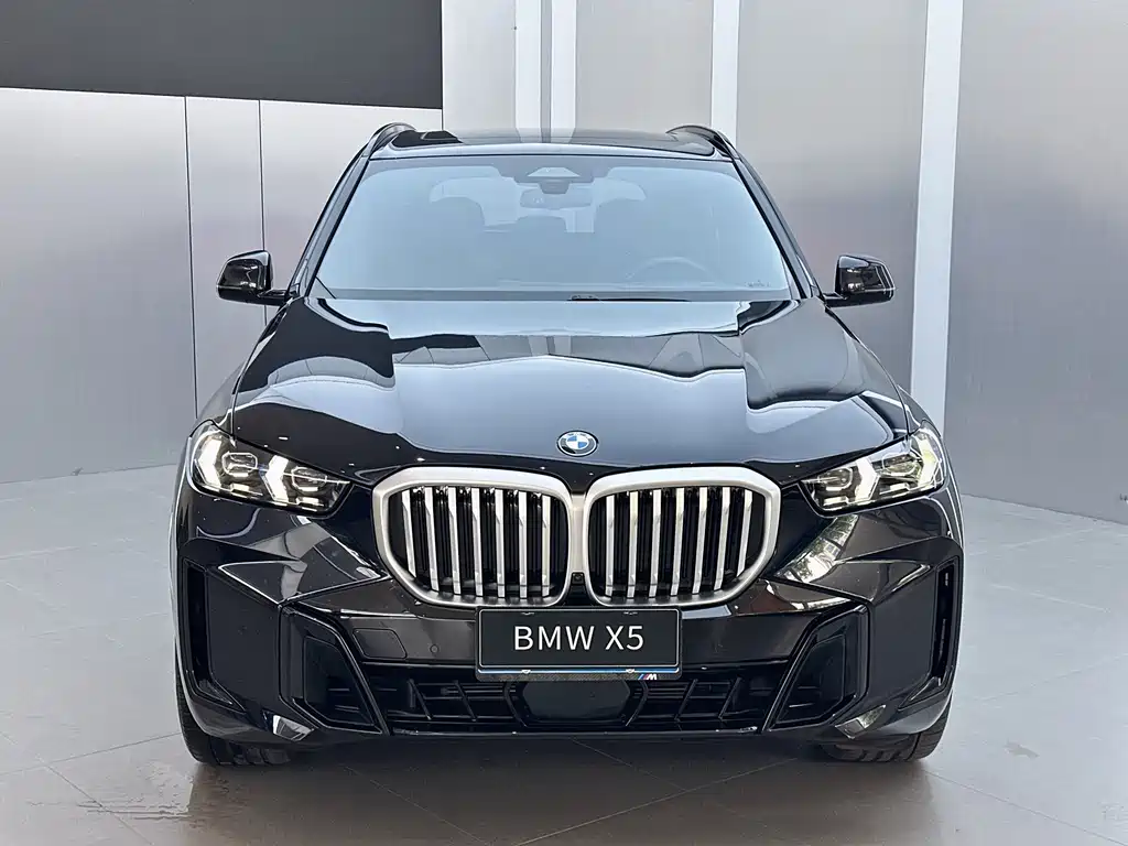 BMW X5 — фото 2