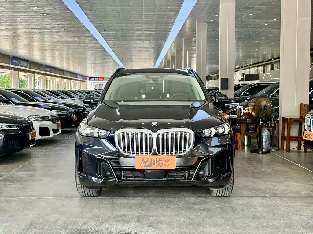 BMW X5 — фото 2