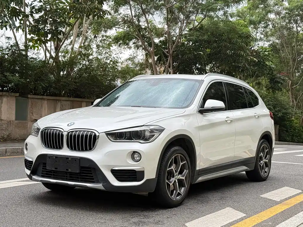 BMW X1 — фото 3