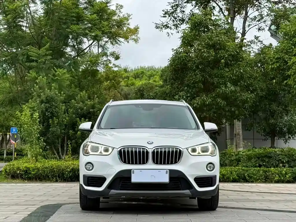 BMW X1 — фото 2
